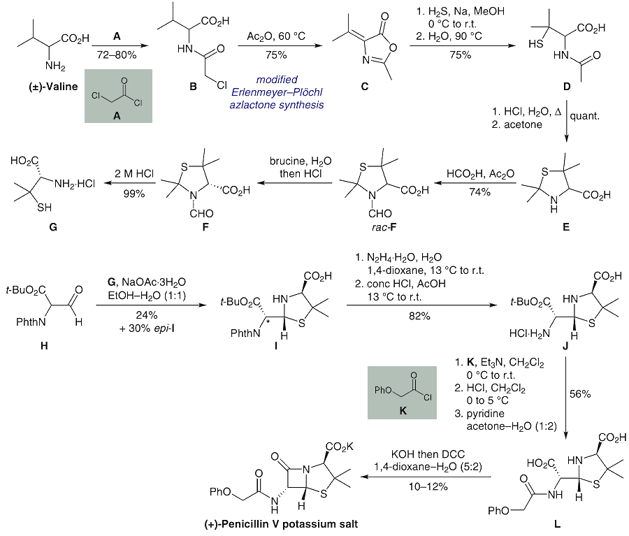 Synthesis of Penicillin