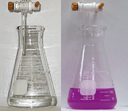 Beaker of acid left, and alkali (right) with phph indicator added