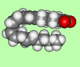 Arachidonic acid - click for 3D structure