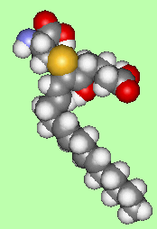 LTE4 - click for 3D structure