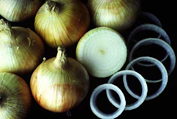 Onions, image taken from: http://plantanswers.tamu.edu
