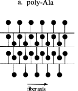 Schematic diagram of a beta sheet
