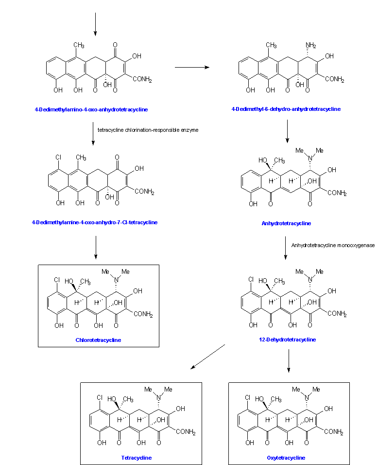 tablet of chloroquine