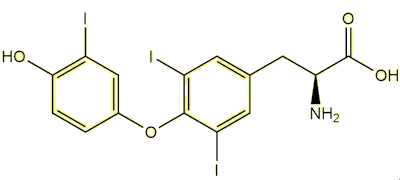 triiodothyroxine