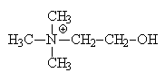 structure of choline
