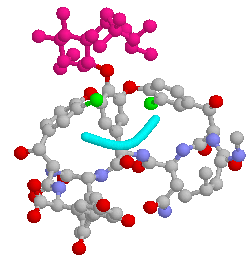 Rasmol image of vancomycin