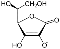 semidehydroascorbate radical
