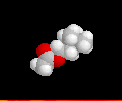 Acetylcholine - click for 3D structure