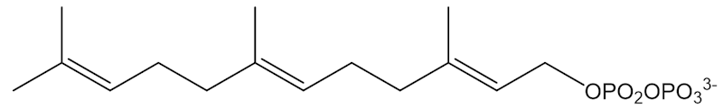 Farnesyl pyrophosphate