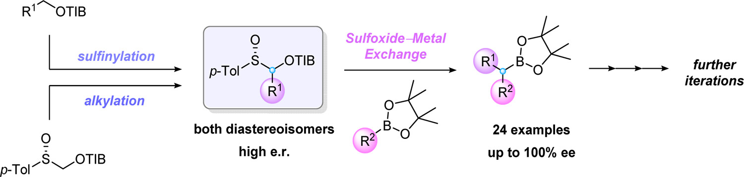 α-Sulfinyl Benzoates as Precursors to Li and Mg Carbenoids for the Stereoselective Iterative Homologation of Boronic Esters
