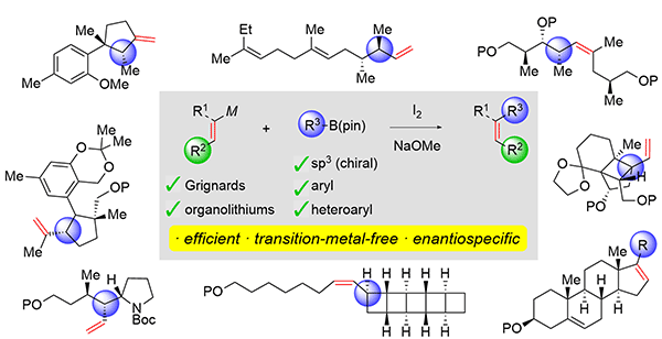 50 Years of Zweifel Olefination: A Transition-Metal-Free Coupling