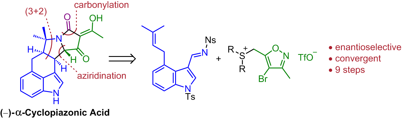 Enantioselective Synthesis of the Cyclopiazonic Acid Family Using Sulfur Ylides