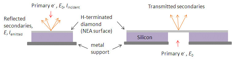 SEE measurement types