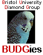 BUDGie Logo