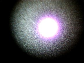 A microplasma struck in a diamond cavity