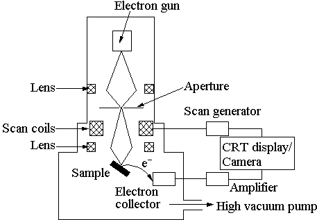 The diagram of the Scanning Electron Microscope hasn't loaded!