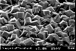 An SEM photo of a CVD diamond film