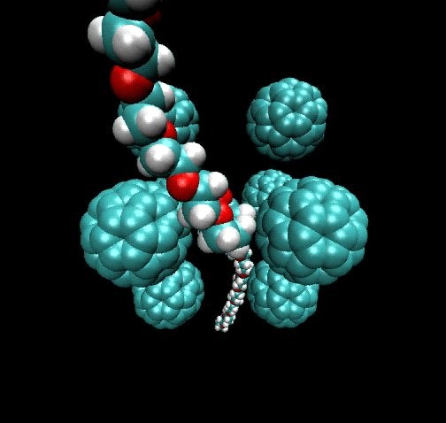 Molecular model