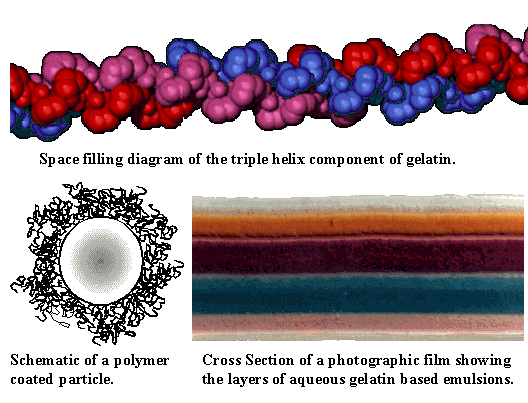 Gelatin and particles
