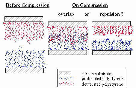 Compression of grafted layers