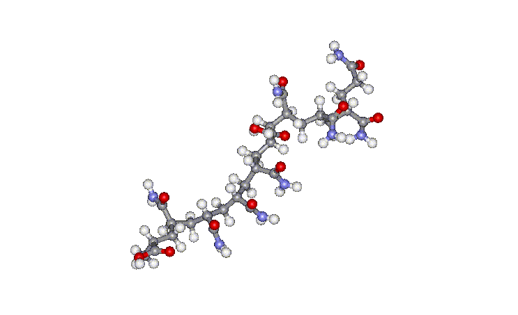A short PAA molecule