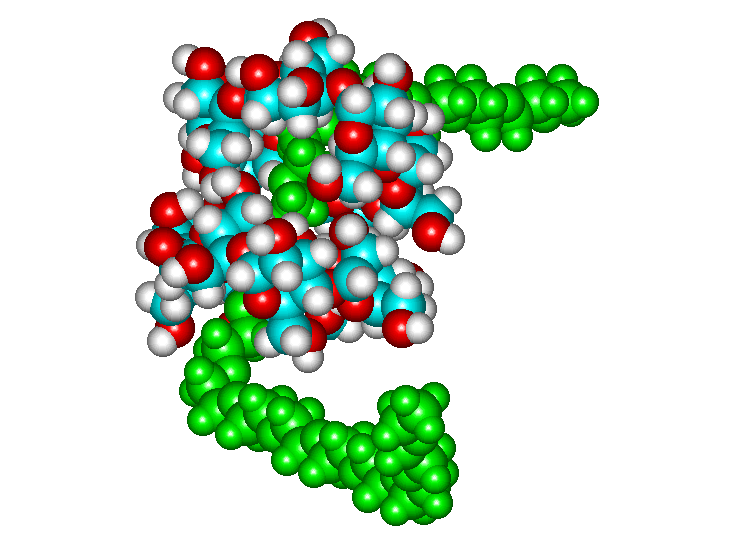 Polyrotoxane