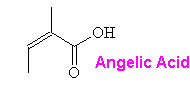 Angelic acid - click for 3D structure