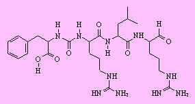 Antipain - click for 3D structure