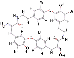 Bastardin-5 - click for 3D structure file