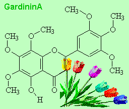 GardininA - click for 3D structure