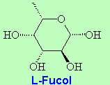 L-Fucol - click for fucol to happen.