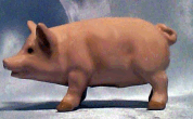 A pig