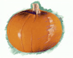 A real pumpkin