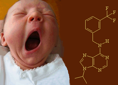 Baby yawning - click for 3D structure of longdaysin