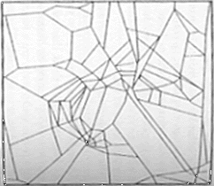 Caffeine spider's web