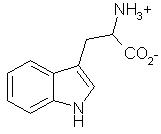 The chemical structure of Tryptophan
