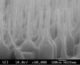 ZnO nanorods