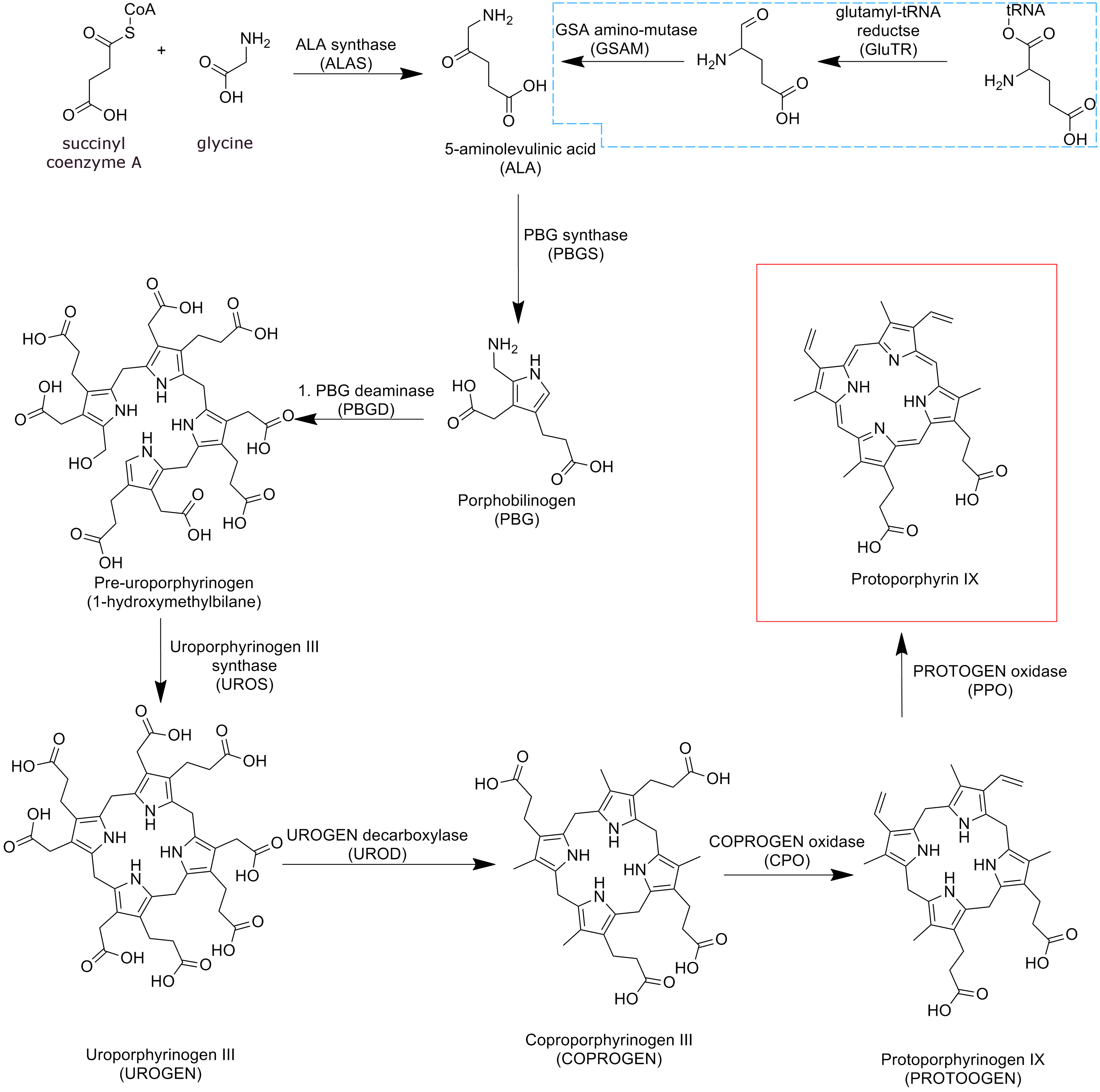 PPIX synthesis
