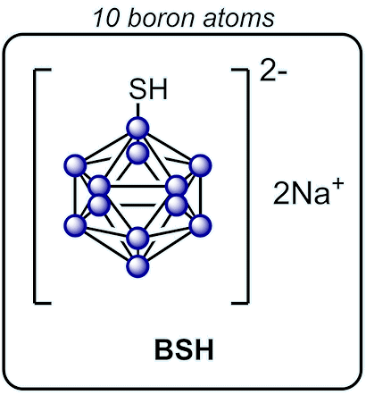 Structure of BSH Structure of BSH