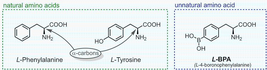 alpha-amino-acids alpha-amino-acids