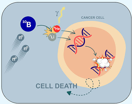 Mode of action Mode of action