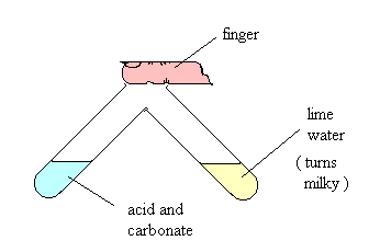 Test for CO2