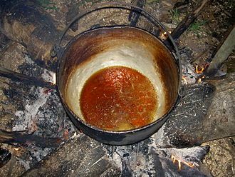 Ayahuasca