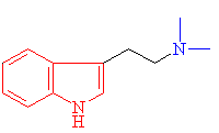 DMT