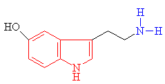 Serotonin