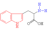 Tryptophan