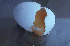 Broken egg