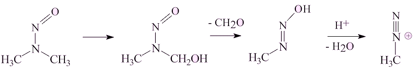 Synthesis of methyldiazonium ion
