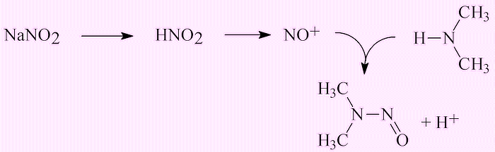 Synthesis of nitrosamines