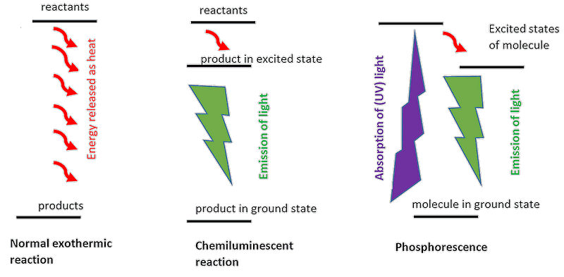 Different types of light emission from excited molecules